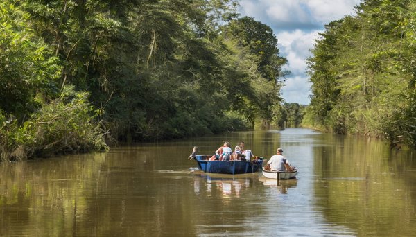 Courant d'huchet : l'amazonie landaise à découvrir en barque